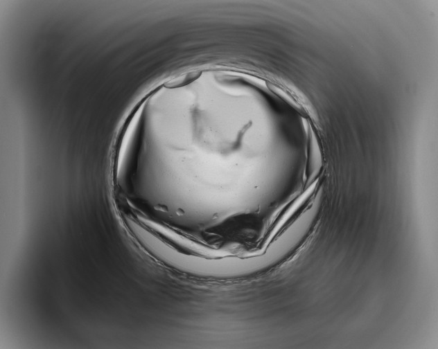 X0000096211530200802151452