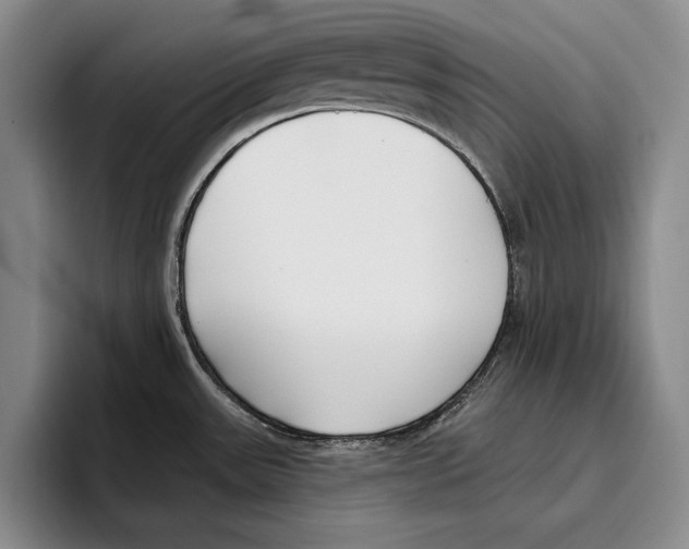 X0000096211531200802151452