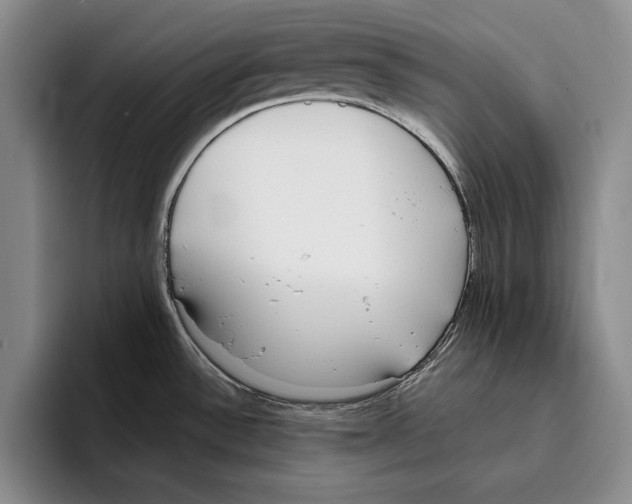 X0000096211532200802151452