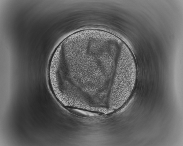 X0000096211533200802151452