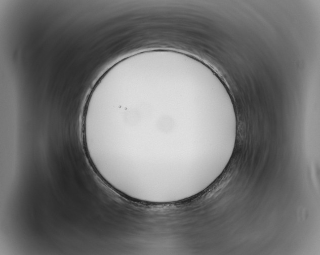 X0000096211535200802151452