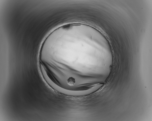 X0000096211536200802151452