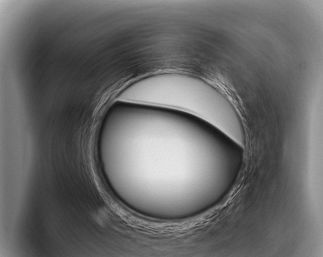 X0000096220001200801181039