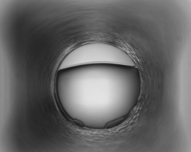 X0000096220003200801181039