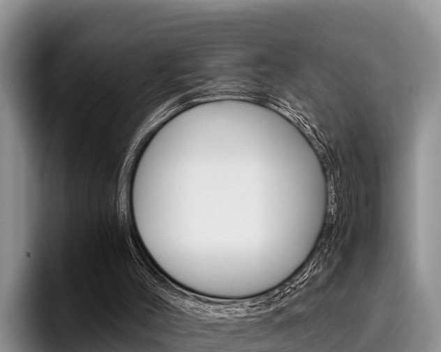 X0000096220004200801181038