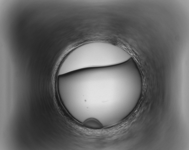 X0000096220006200801181038