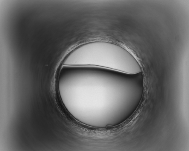 X0000096220008200801181038
