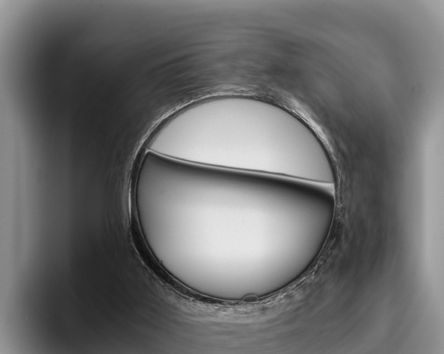 X0000096220011200801181038