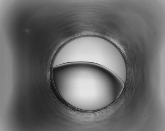X0000096220015200801181038