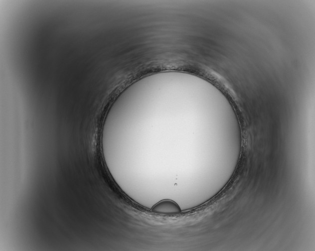 X0000096220018200801181038