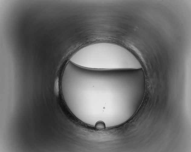 X0000096220020200801181038