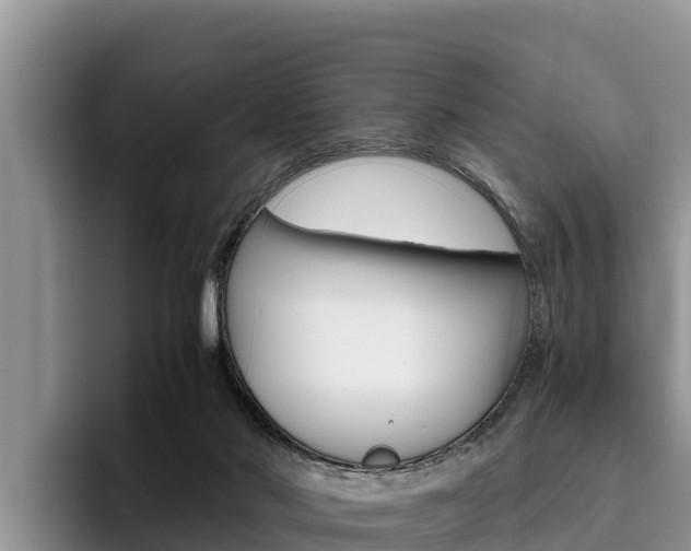X0000096220022200801181038