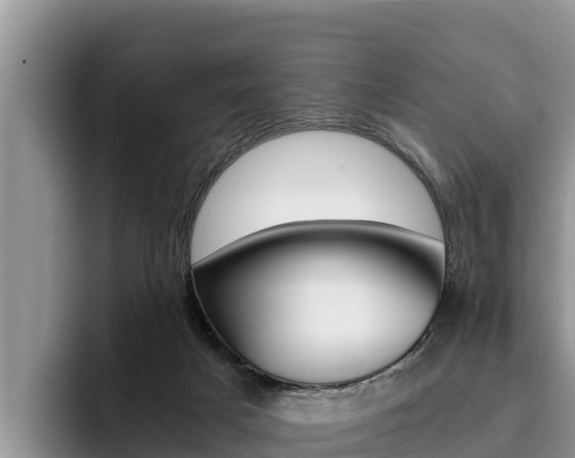X0000096220025200801181038