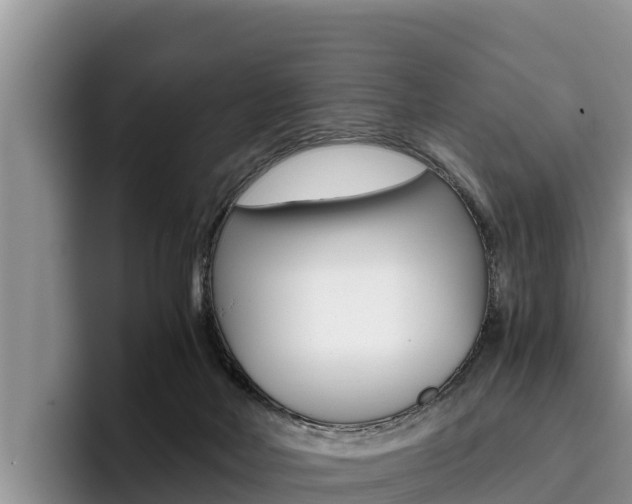 X0000096220026200801181038