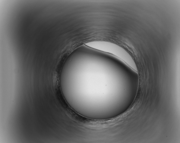 X0000096220029200801181038