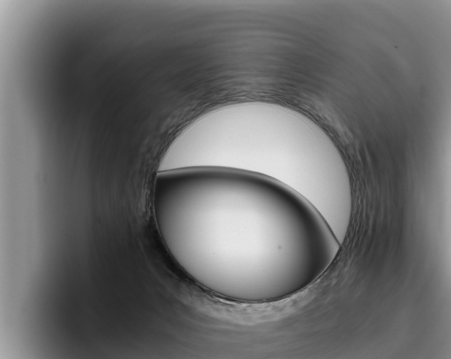 X0000096220031200801181038