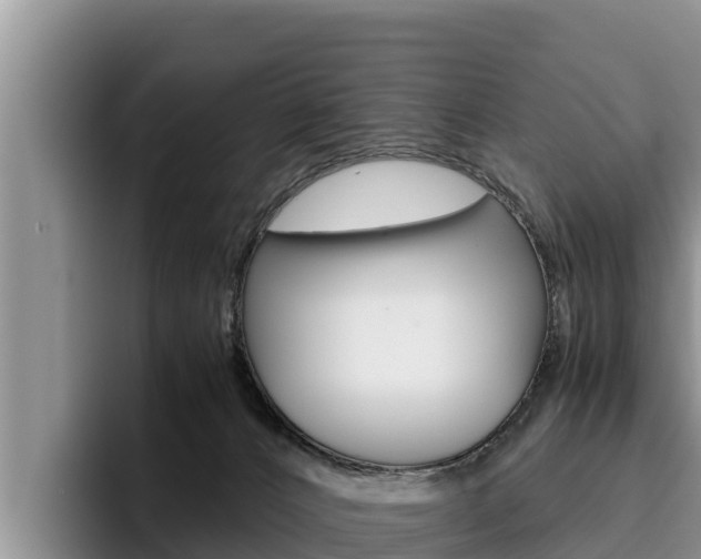 X0000096220032200801181038