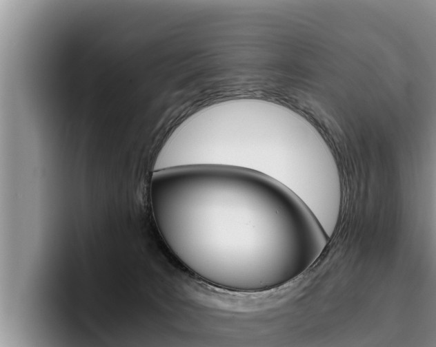 X0000096220035200801181038