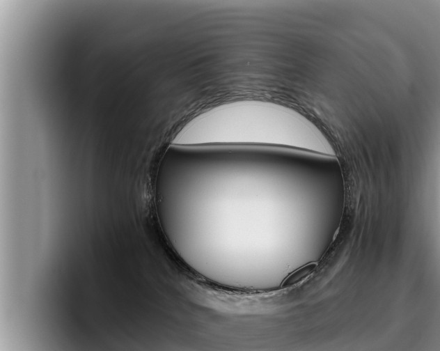 X0000096220040200801181038