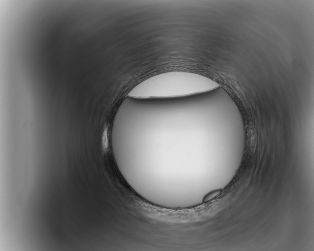 X0000096220042200801181038