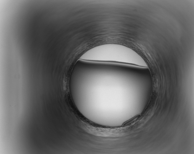 X0000096220044200801181038