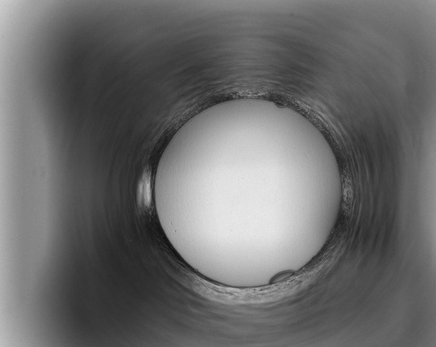 X0000096220046200801181038