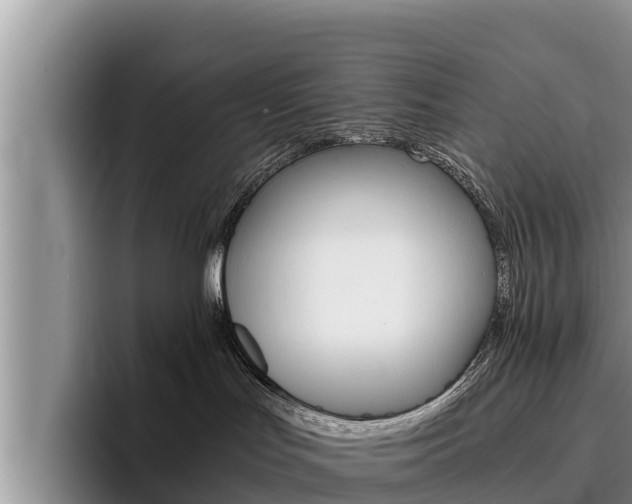 X0000096220047200801181038