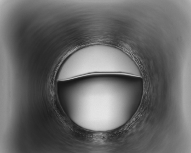 X0000096220050200801181037