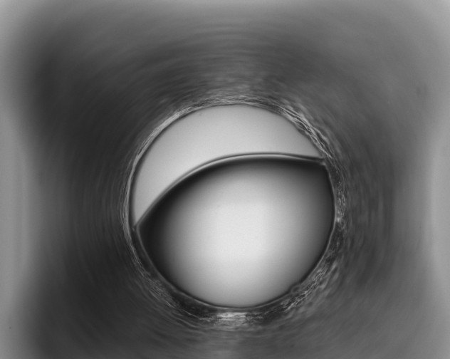 X0000096220052200801181037