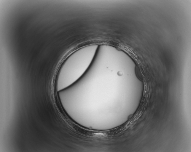 X0000096220053200801181037