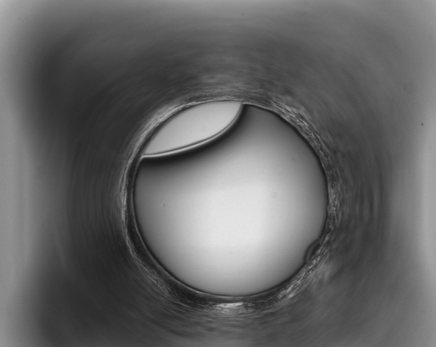 X0000096220054200801181037