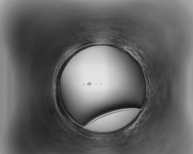 X0000096220055200801181037