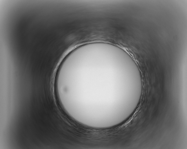 X0000096220056200801181037