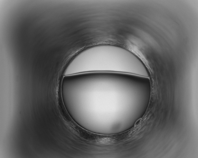 X0000096220058200801181037