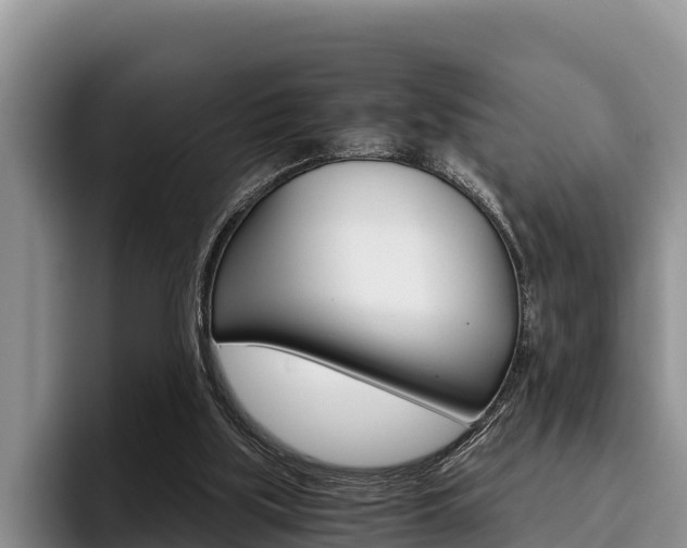 X0000096220059200801181037