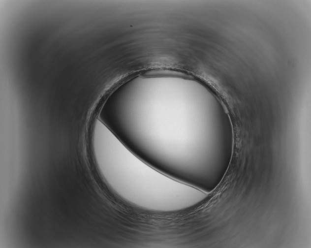 X0000096220060200801181037