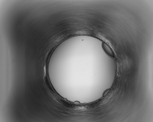 X0000096220061200801181037