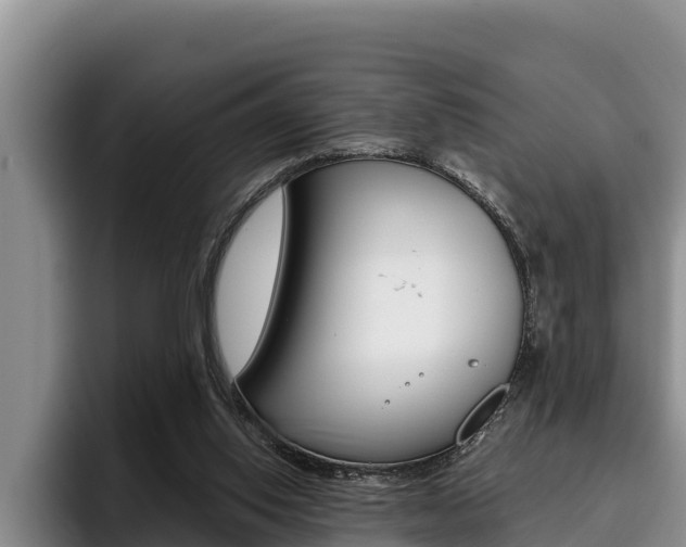 X0000096220062200801181037