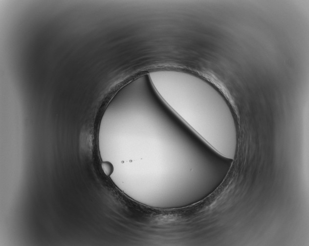X0000096220063200801181037