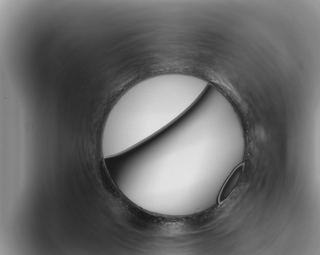 X0000096220066200801181038