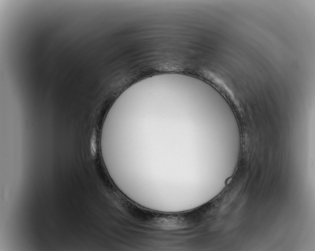 X0000096220069200801181038