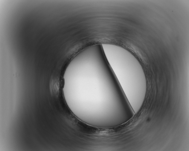 X0000096220072200801181038