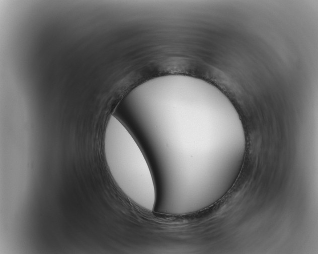 X0000096220073200801181038