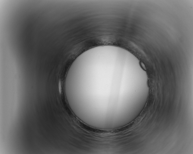 X0000096220075200801181038