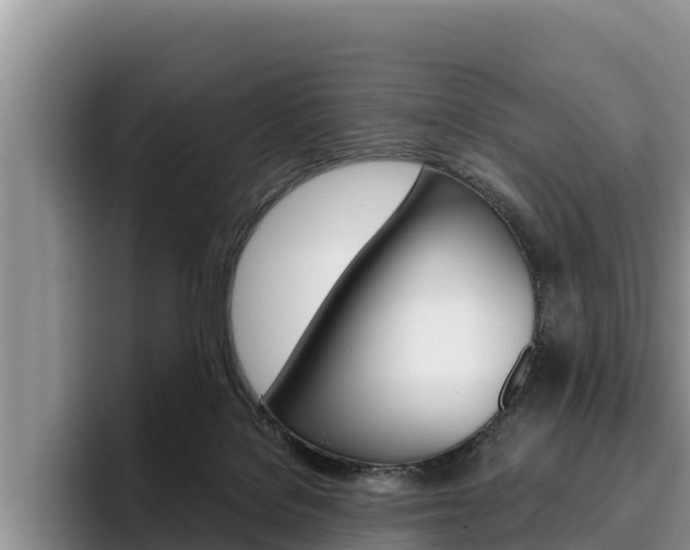 X0000096220076200801181038