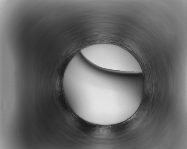 X0000096220078200801181038