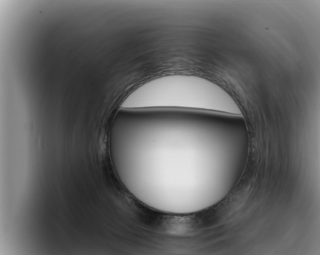 X0000096220081200801181038
