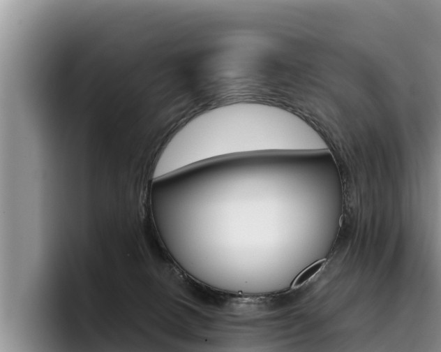 X0000096220082200801181038