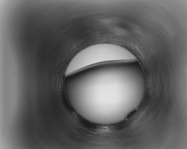 X0000096220083200801181038