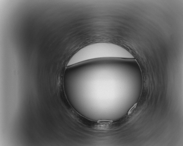 X0000096220084200801181038